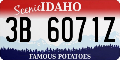 ID license plate 3B6071Z
