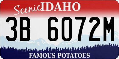 ID license plate 3B6072M