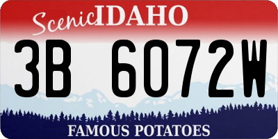 ID license plate 3B6072W