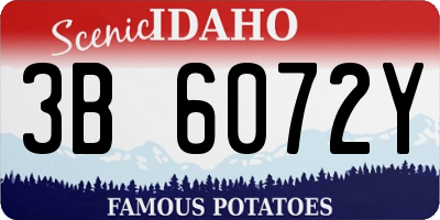 ID license plate 3B6072Y