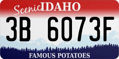 ID license plate 3B6073F
