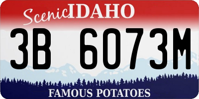ID license plate 3B6073M