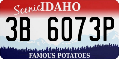 ID license plate 3B6073P