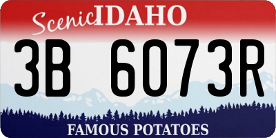 ID license plate 3B6073R