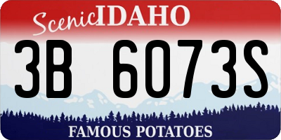 ID license plate 3B6073S