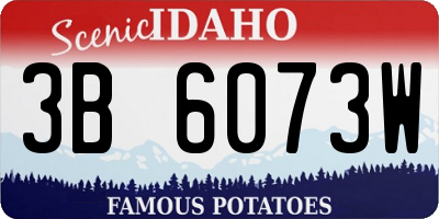 ID license plate 3B6073W