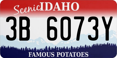 ID license plate 3B6073Y