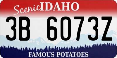 ID license plate 3B6073Z