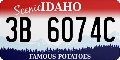 ID license plate 3B6074C
