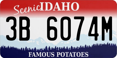 ID license plate 3B6074M