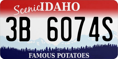 ID license plate 3B6074S