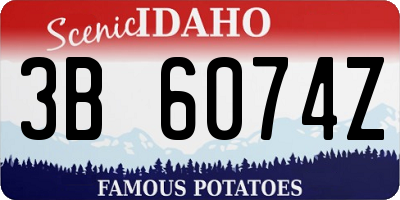 ID license plate 3B6074Z