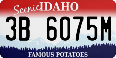ID license plate 3B6075M