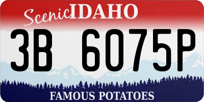 ID license plate 3B6075P