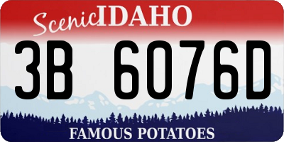 ID license plate 3B6076D