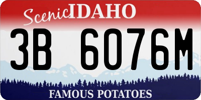 ID license plate 3B6076M