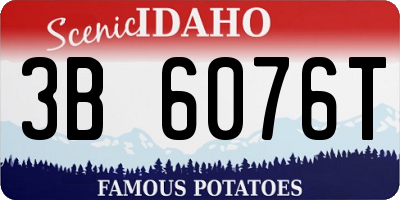ID license plate 3B6076T