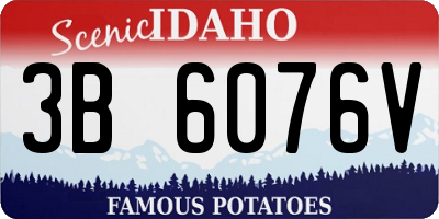 ID license plate 3B6076V