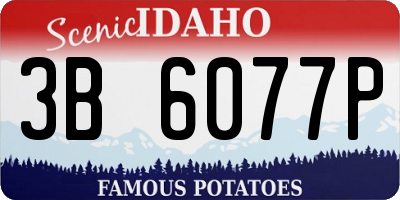 ID license plate 3B6077P