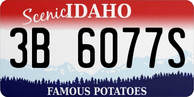 ID license plate 3B6077S