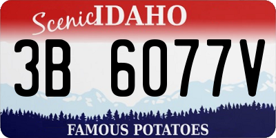ID license plate 3B6077V