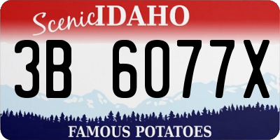 ID license plate 3B6077X
