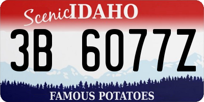 ID license plate 3B6077Z