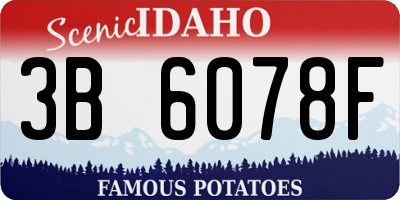 ID license plate 3B6078F