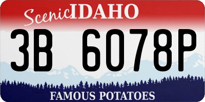 ID license plate 3B6078P