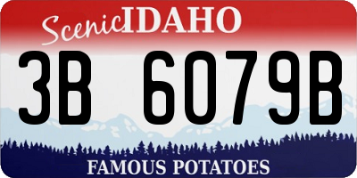 ID license plate 3B6079B