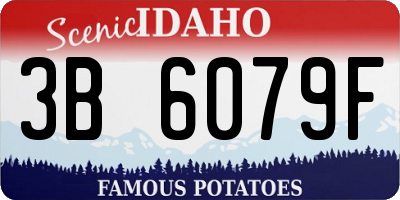 ID license plate 3B6079F