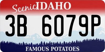 ID license plate 3B6079P
