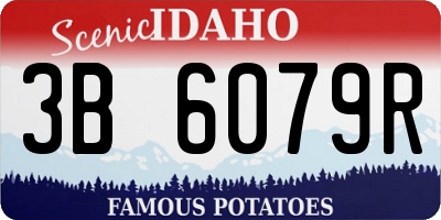 ID license plate 3B6079R