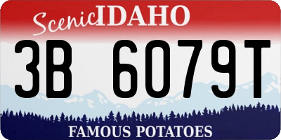 ID license plate 3B6079T