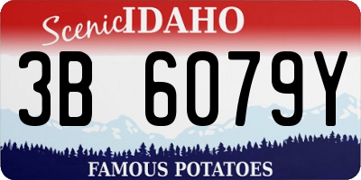 ID license plate 3B6079Y
