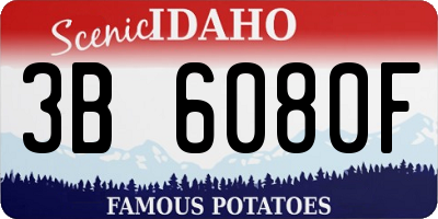 ID license plate 3B6080F