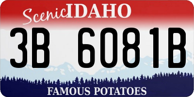 ID license plate 3B6081B