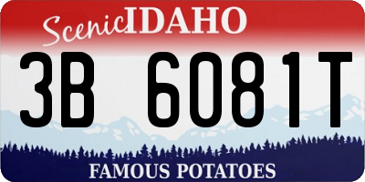 ID license plate 3B6081T