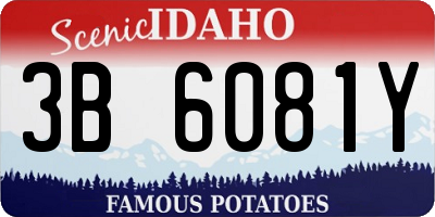 ID license plate 3B6081Y