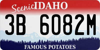 ID license plate 3B6082M