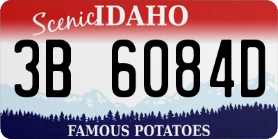 ID license plate 3B6084D