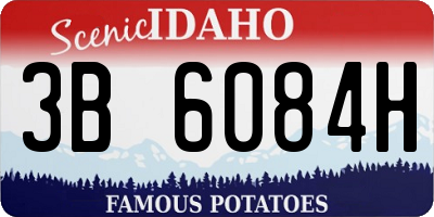 ID license plate 3B6084H