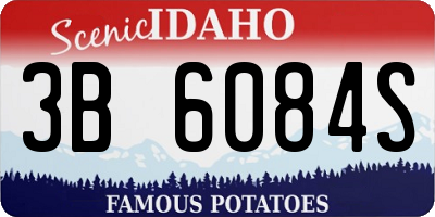 ID license plate 3B6084S