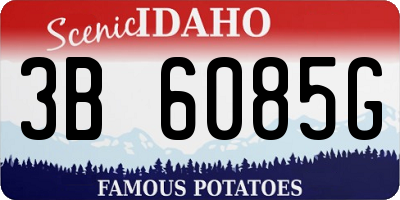 ID license plate 3B6085G
