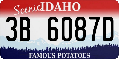 ID license plate 3B6087D