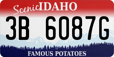 ID license plate 3B6087G