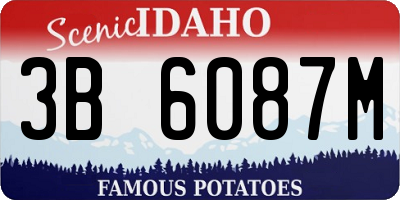 ID license plate 3B6087M