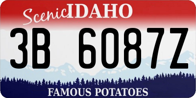 ID license plate 3B6087Z