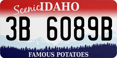 ID license plate 3B6089B