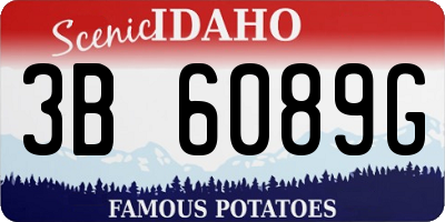 ID license plate 3B6089G